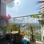 Cho thuê căn hộ 1pn+ vinhome grandpark view mát mẻ